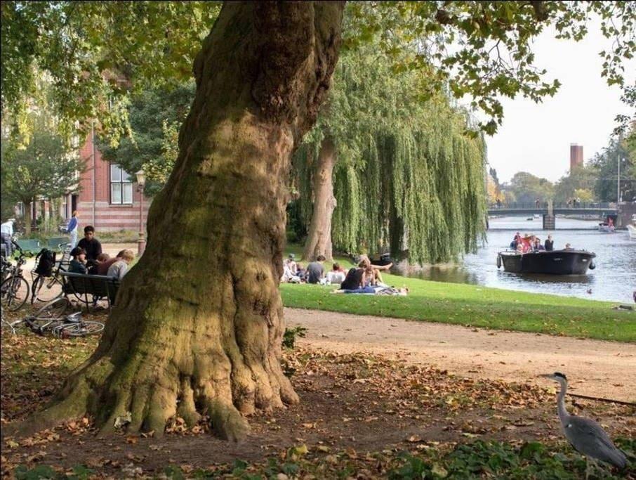 Perfect Apt - Heart Of Amsterdam Bagian luar foto